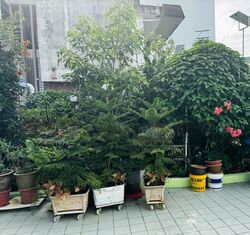 Telok Kurau Road (D15), Semi-Detached #535144131